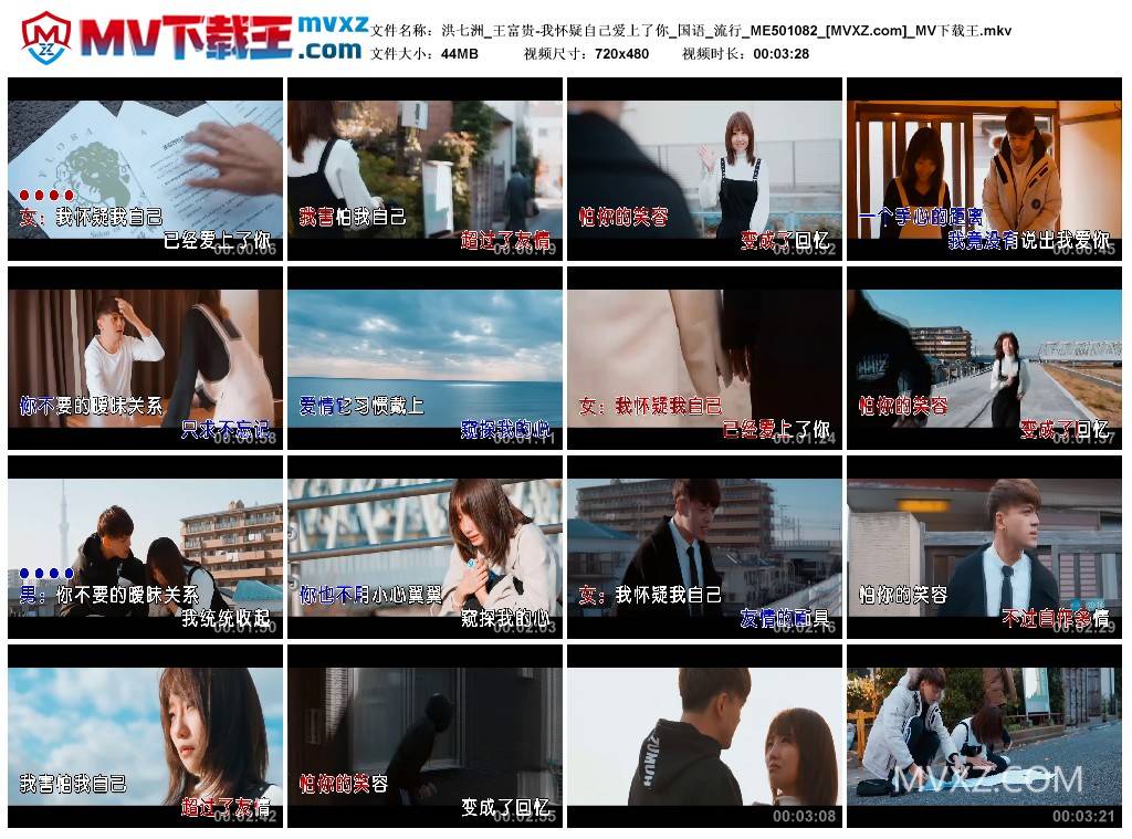 洪七洲_王富贵-我怀疑自己爱上了你_国语_流行_ME501082